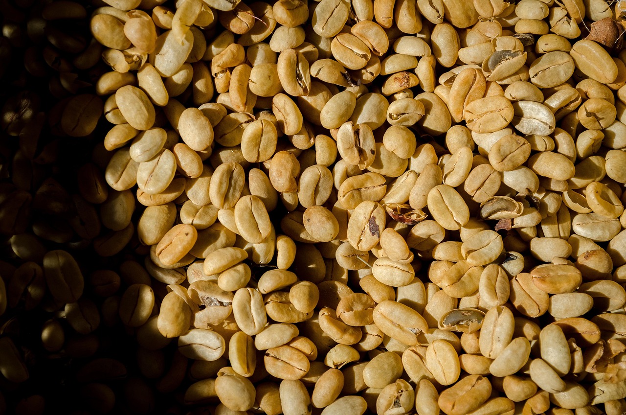 Allegro Organic Coffee Beans Review 2025: Sourcing, Blends, and Gluten-Free Safety
