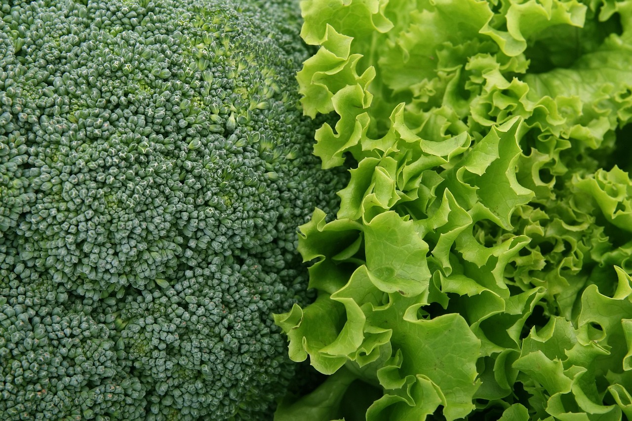 Broccoli Magnesium Content: A Comprehensive Guide to This Essential Nutrient Source