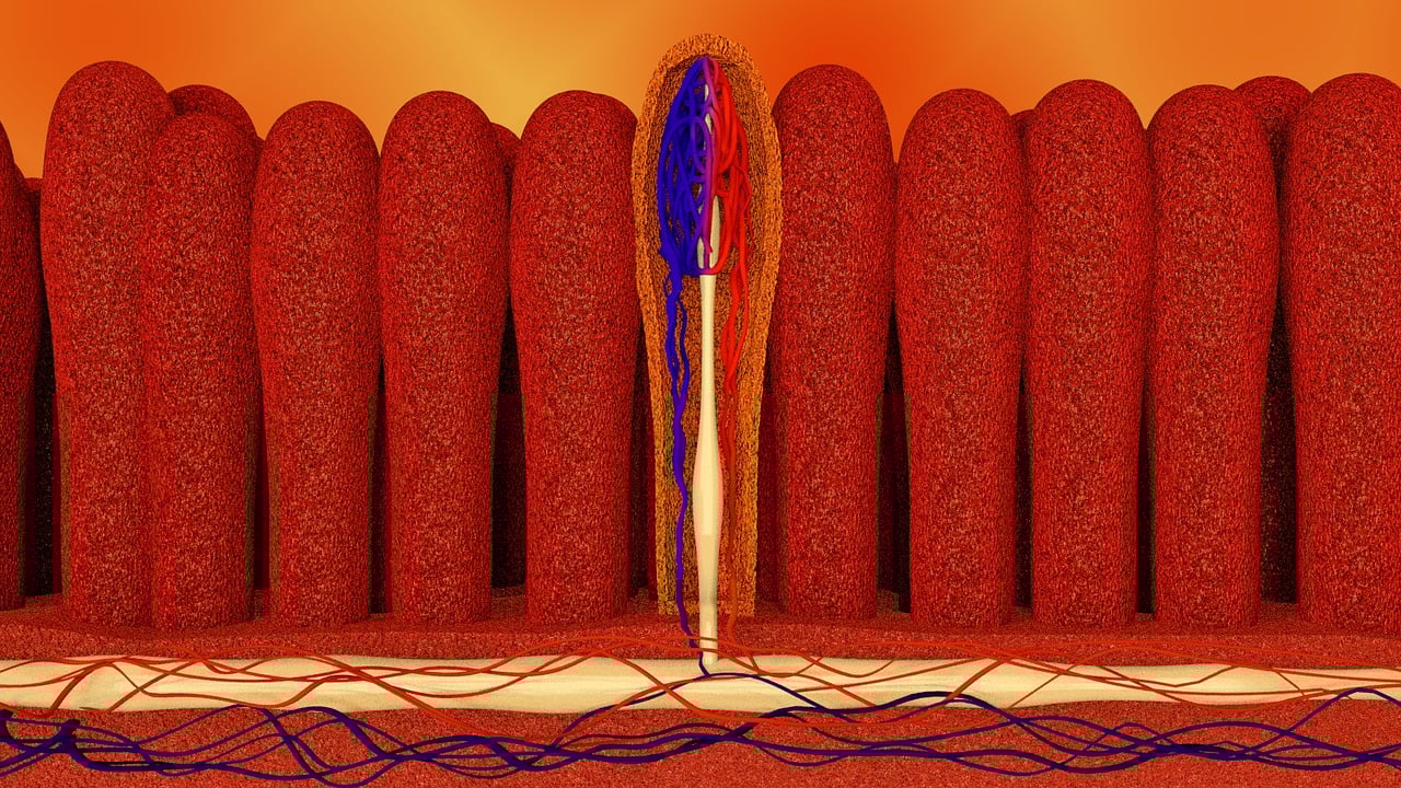 Coeliac Disease Symptoms: A Comprehensive Guide to Recognition and Diagnosis