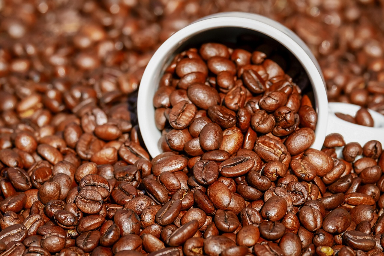 Comprehensive Guide to Gluten-Free Foods High in Lysine for Health and Immune Support