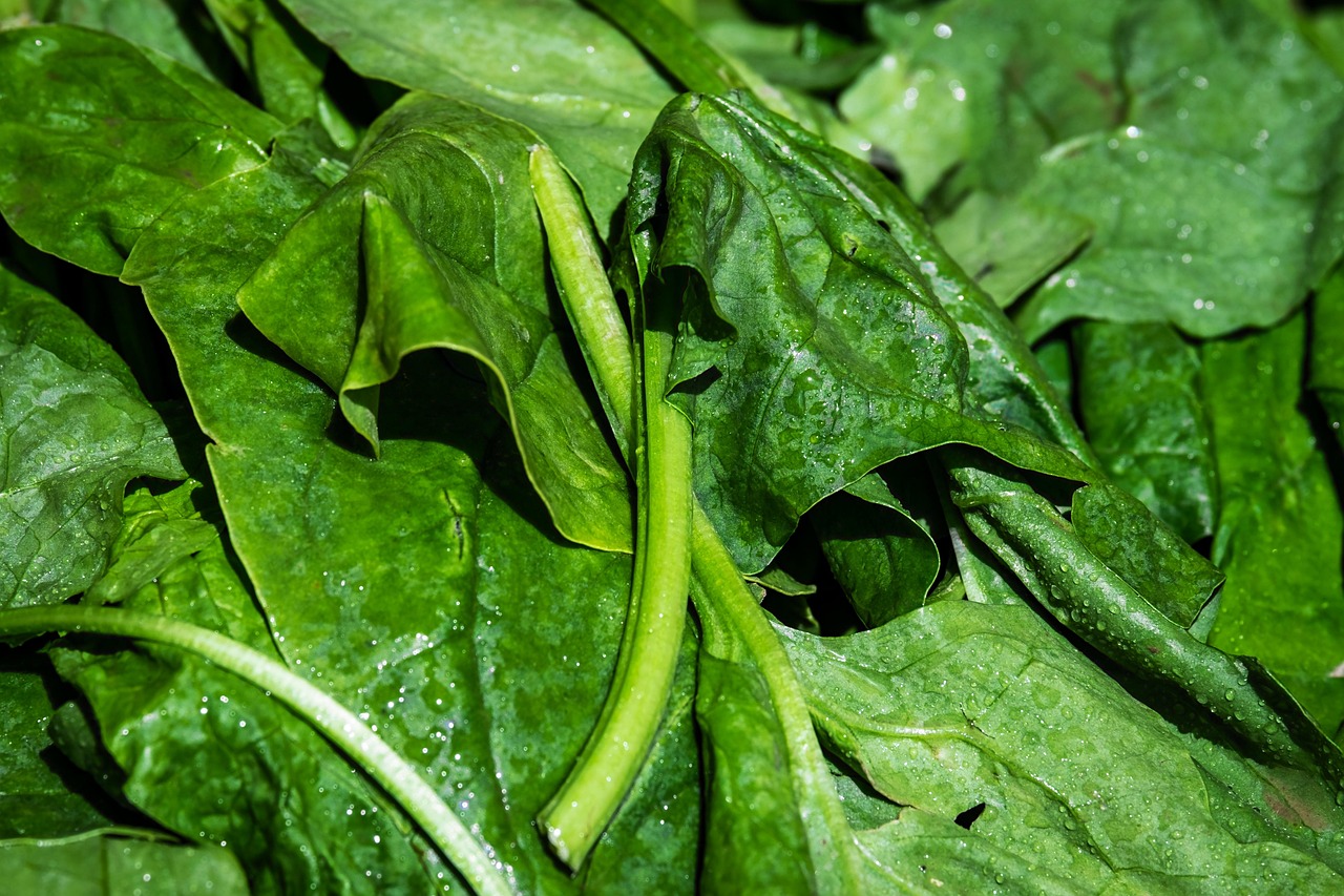 Raw Wraps Spinach Review 2025: The Definitive Guide to This Gluten-Free, Raw Food Staple
