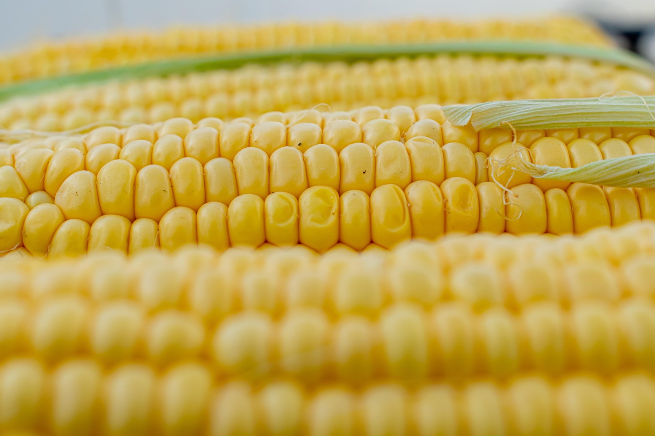 Sam Mills Corn Pasta D'Oro: The Definitive Guide to Egg-Free, Gluten-Free Excellence