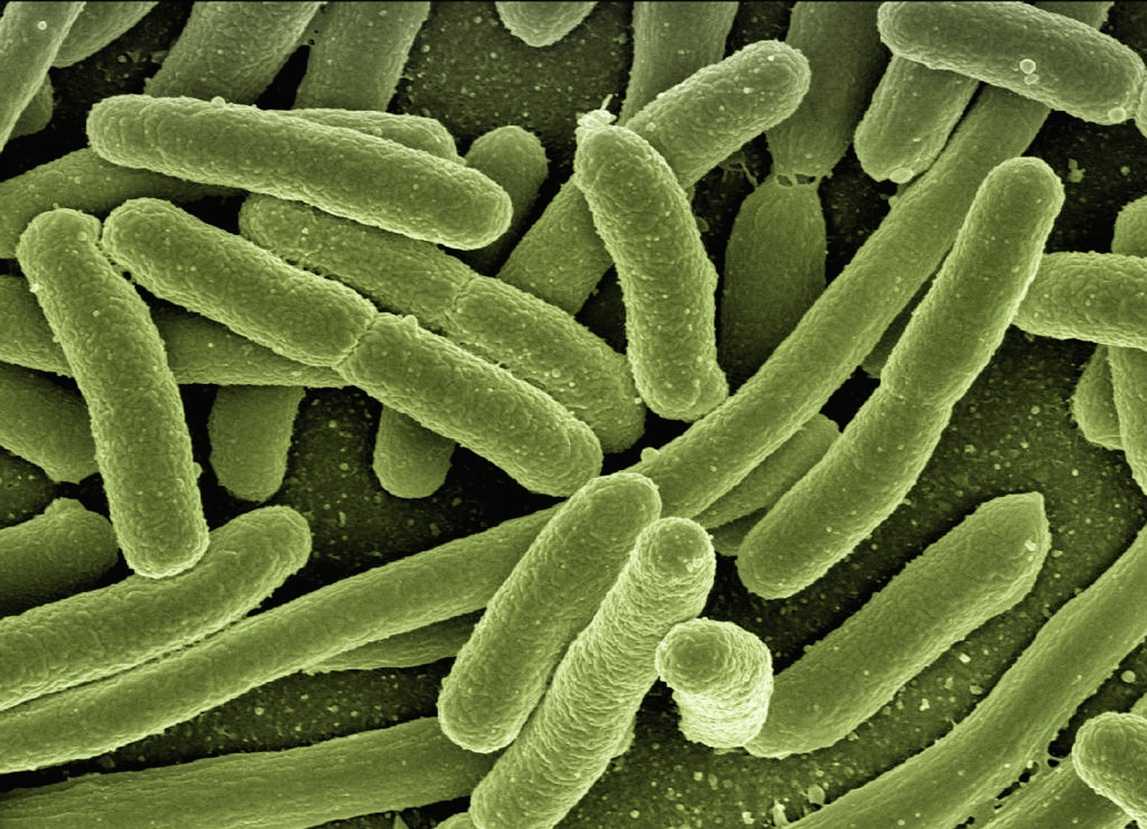 The Comprehensive Bacterial Diseases List: Causes, Symptoms, and Global Health Impact (2025)