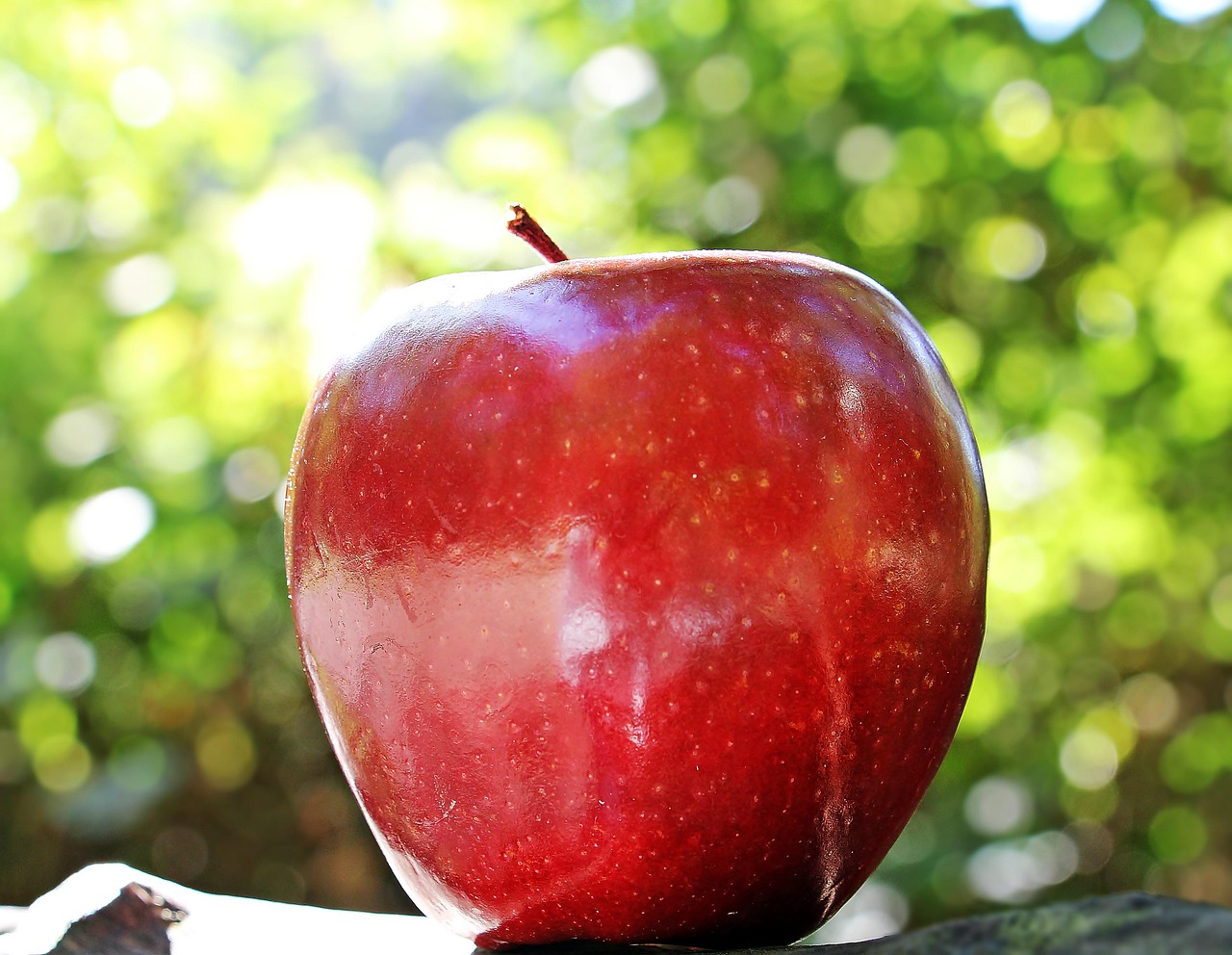 The Definitive 2025 Guide to Red Apple Gluten Free Lipstick: Safety, Ingredients, and Celiac-Safe Cosmetics