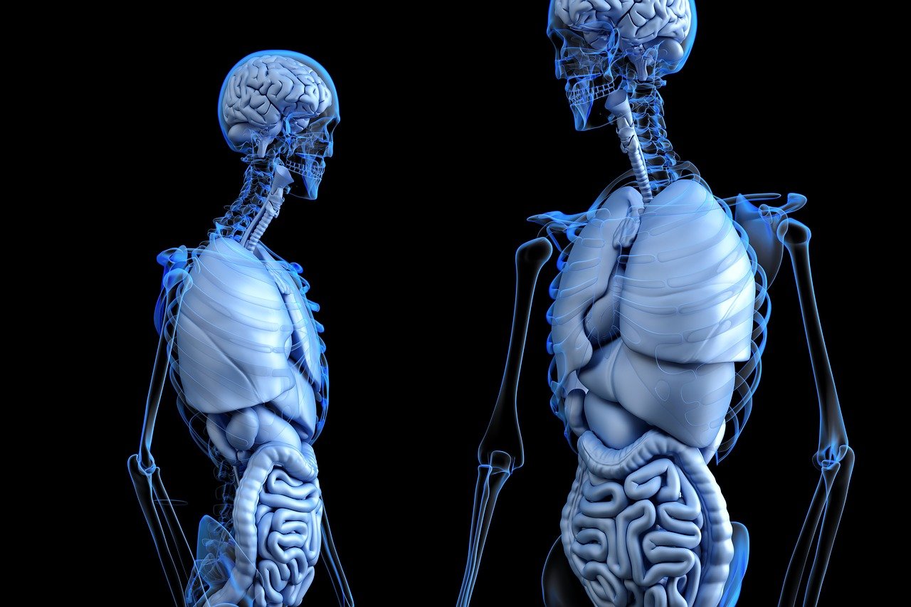 The Definitive Guide to Food Enzymes: Sources, Benefits, and Digestive Health