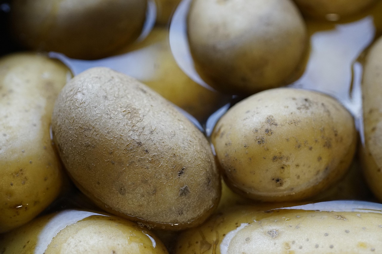 The Definitive Guide to Foods High in Potassium: Charts, Benefits, and Pairing with Magnesium