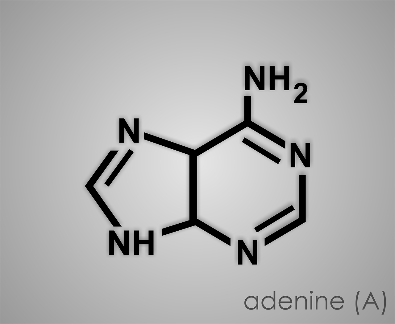 The Definitive Guide to Foods High in Purines: Managing Gout and Uric Acid Levels