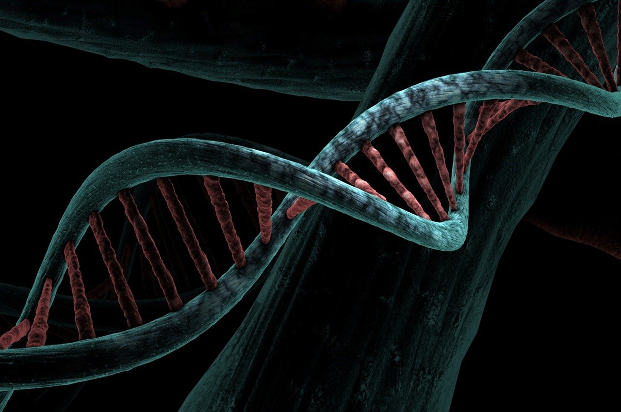 The Multifactorial Causes of Obesity: Genetics, Environment, and Lifestyle Factors