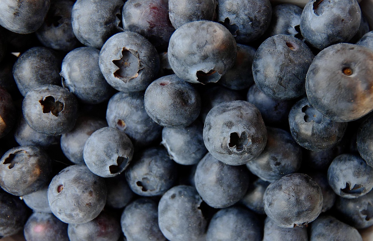Two Moms in the Raw Nut Bar Blueberry Review 2025: Gluten-Free Safety and Raw Food Benefits